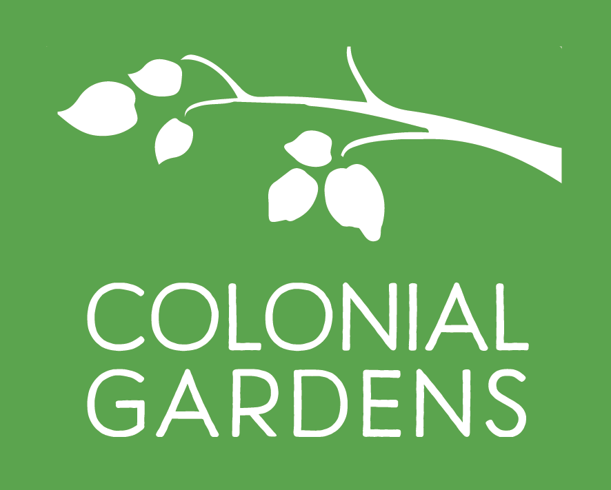 The Fall Event 2022 Tour